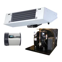 Refrigerazione set Premium TK / R452a 28 m3 (T)FHT2511ZBR/DFBE061D/ECP300ExpertVD4