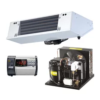 Refrigerazione set Premium NK / R134a 20m3 OP-U(M)CGC034GSA01G/DFBE061D/ECP202Exp