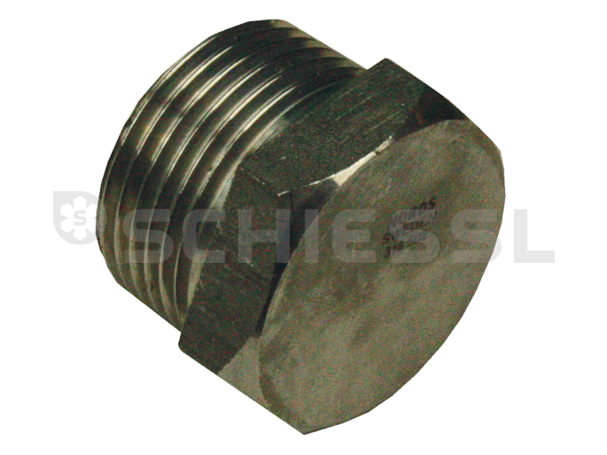 Schiessl hexagon blind plug R 1-1/2'' V2A  ST-112-000-G