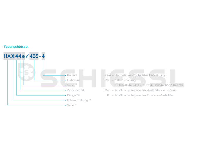 Bock Verdichter HAX 34e/315-4 400V