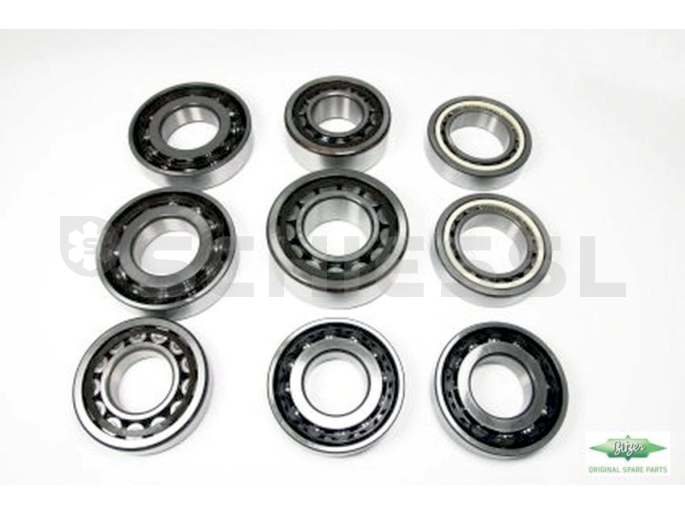 Bitzer rolling bearing, kit 386 605 06