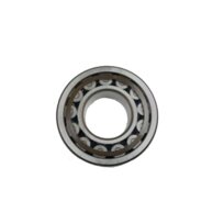 Bitzer cylinder roller bearings 386 200 34