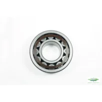 Bitzer Zylinder-Rollenlager 386 200 26