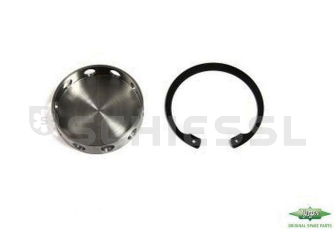 Bitzer Rückschlagventil 36910801