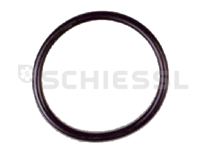 ESK O-Ring OR-33X2,62-P (Pack=10St)