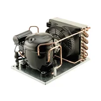 L'Unite condensing unit AE2 AET4456YHR "Comfort"