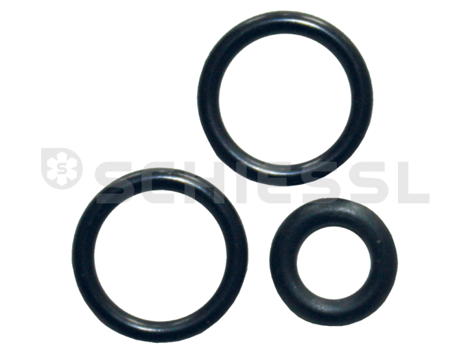 Refco replacement sealing o-ring set 32520-555 f. valve tool