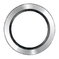 Disco di tenuta acciaio inox / gomma fluorurata SS-4-RSD-2V per 1/4'' ISO unità esterna