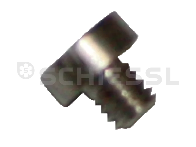 Wiegand Befestigungsschrauben f. Randbefestigung M2,5x2,5