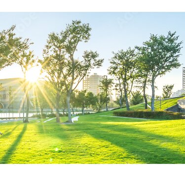 LG Therma V Wärmepumpe Banner Natur, Sonne und Hochhäuser